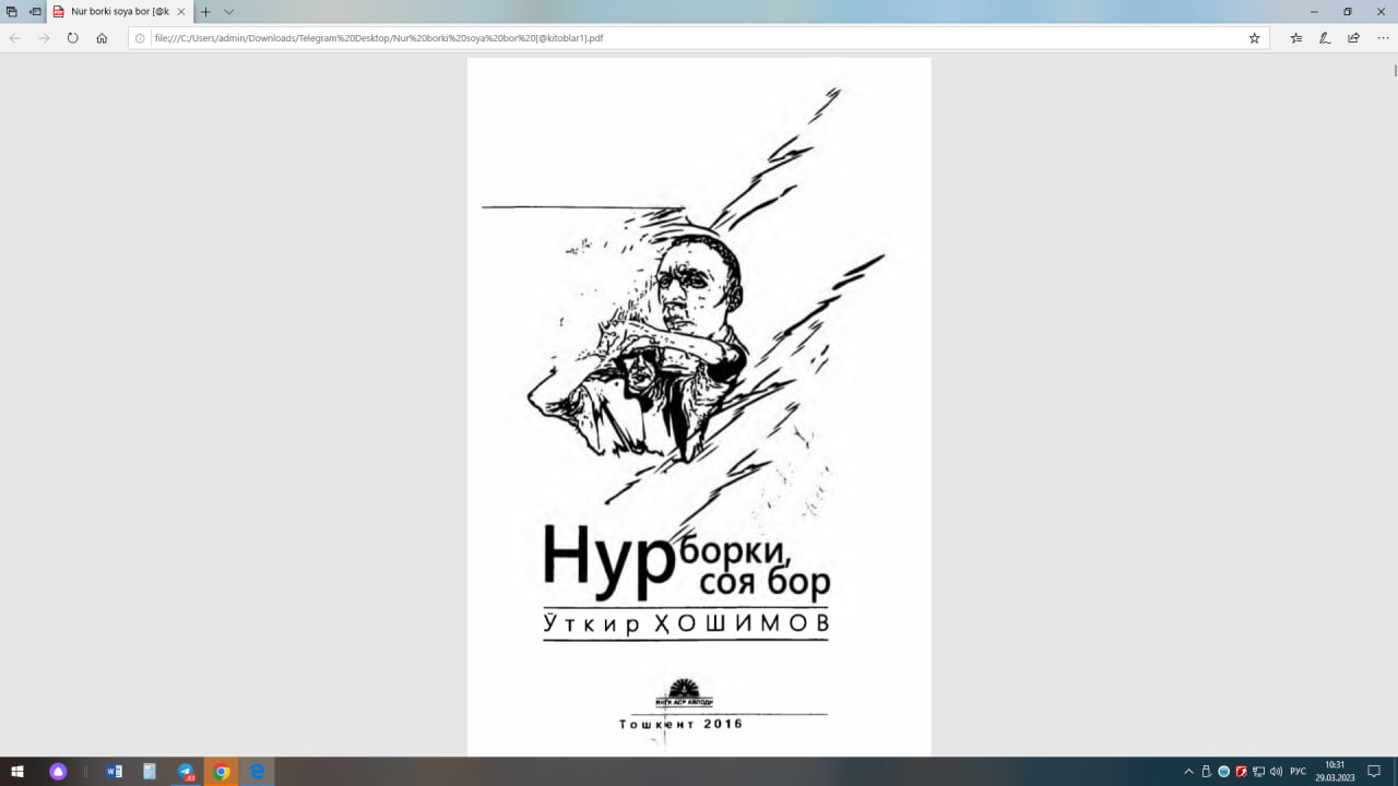 Нур борки соя бор