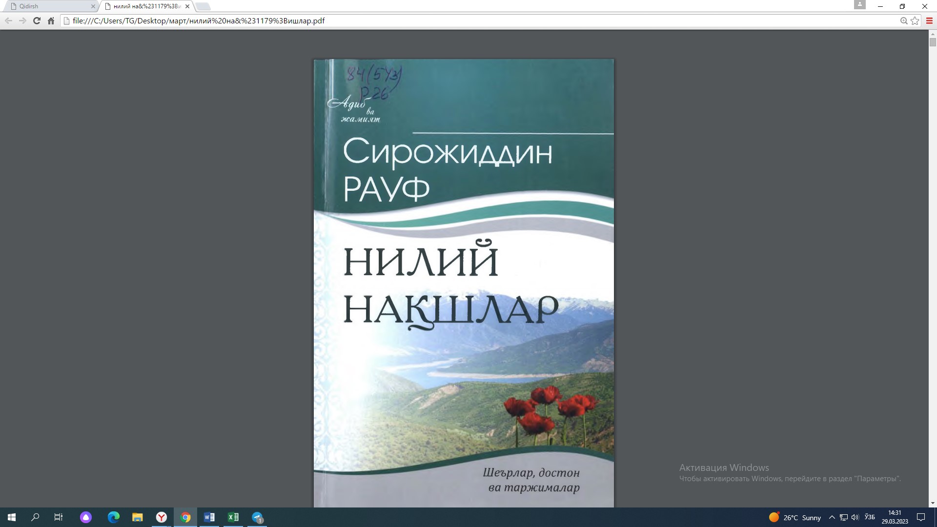 Нилий нақшлар