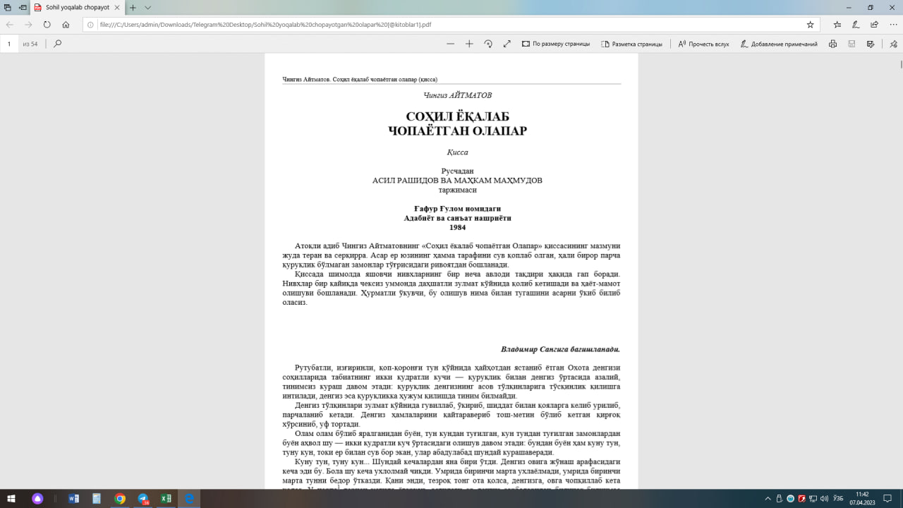 Соҳил ёқалаб чопаётган олапар