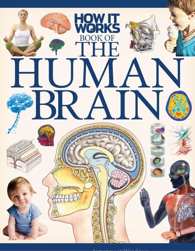 Human Brain