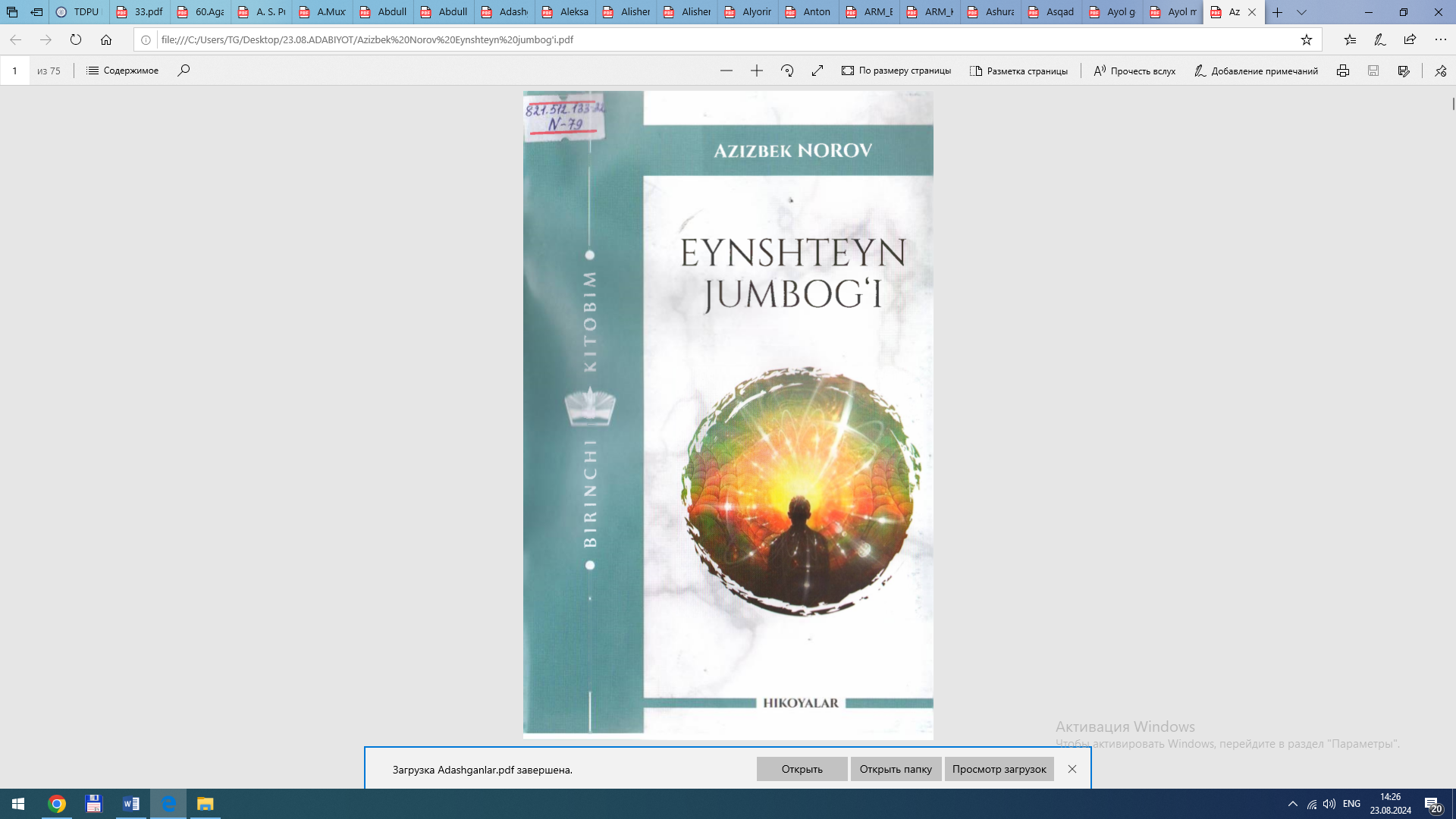 EYNSHTEYN JUMBOG‘I