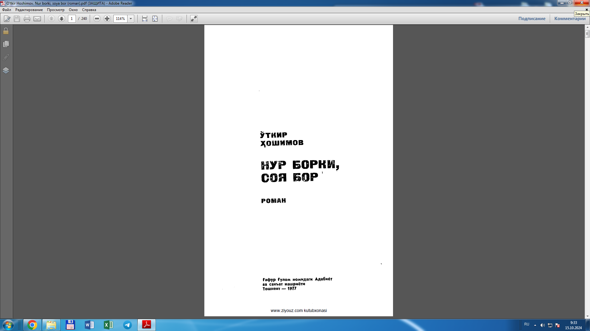 Нур борки, соя бор