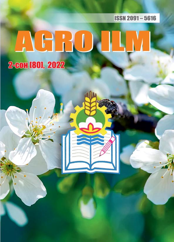 Tasmali lezbiyen egizaklar